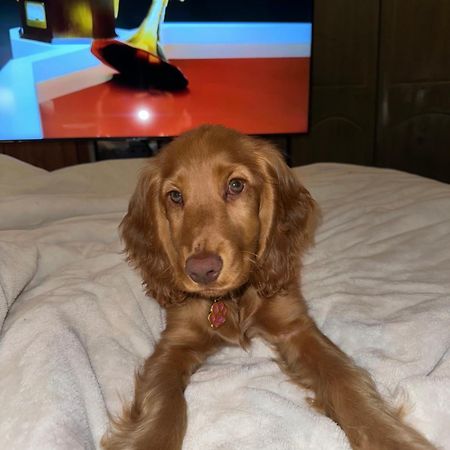 Cosy City Centre Guest Room Shared Home Galway Bagian luar foto